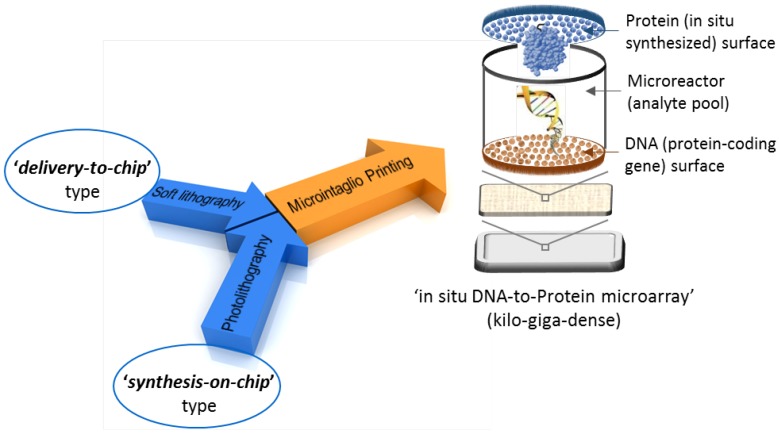 Microintaglio Printing for Soft Lithography-Based in Situ Microarrays.