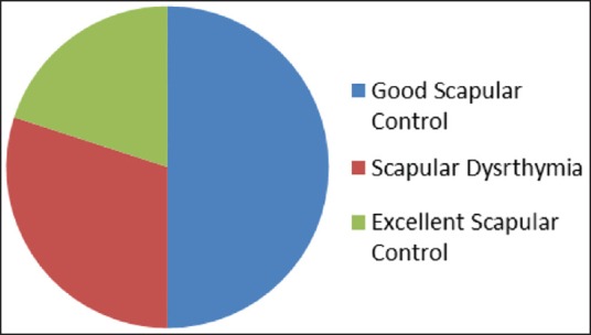 Sorting swimmers shoulders: An observational study on swimmers that presented to a shoulder surgeon.