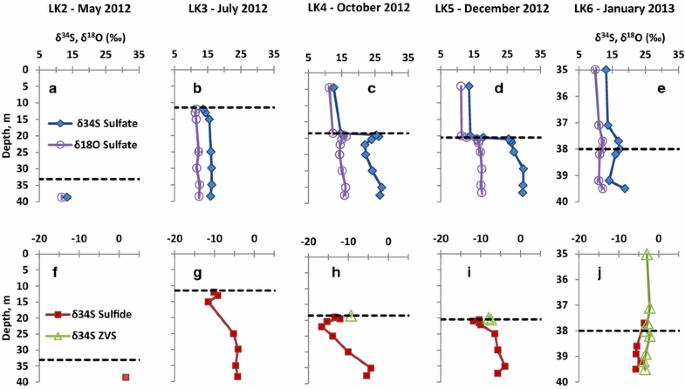 Annual sulfur cycle in a warm monomictic lake with sub-millimolar sulfate concentrations