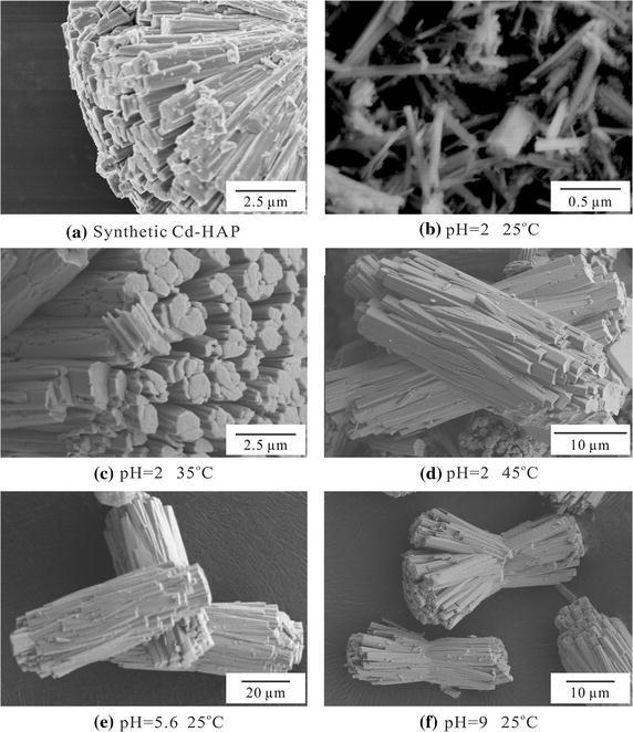 Characterization, dissolution and solubility of synthetic cadmium hydroxylapatite [Cd5(PO4)3OH] at 25–45°C