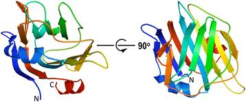 Structural characterization of the carbohydrate-binding module of NanA sialidase, a pneumococcal virulence factor