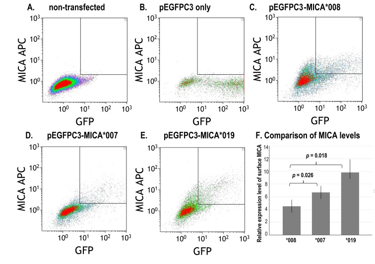 Allele Specific Expression of MICA Variants in Human Fibroblasts Suggests a Pathogenic Mechanism.