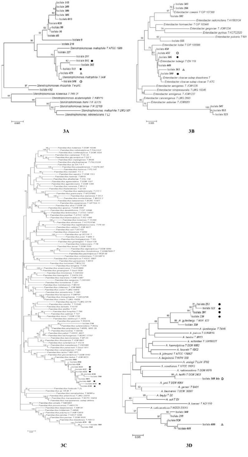 Analysis of a Pool of Small Plasmids from Soil Heterotrophic Cultivable Bacterial Communities.