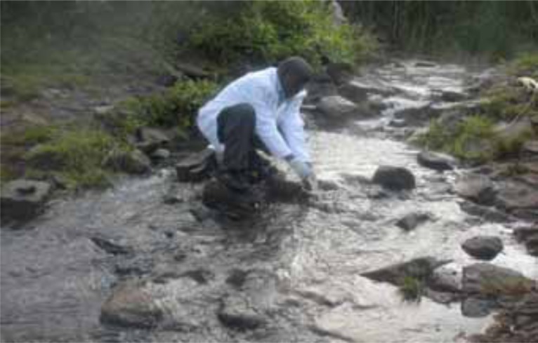 Physico-chemical Analysis, Microbial Isolation, Sensitivity Test of the Isolates and Solar Disinfection of Water Running in Community Taps and River Kandutura in Nakuru North Sub-county, Kenya.