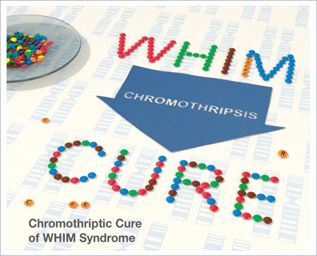 Chromothriptic cure of WHIM syndrome: Implications for bone marrow transplantation.