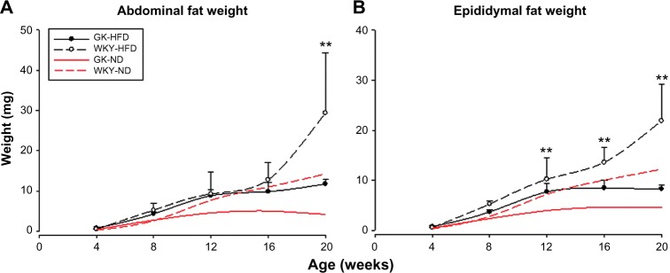 Effects of High Fat Feeding on Adipose Tissue Gene Expression in Diabetic Goto-Kakizaki Rats.