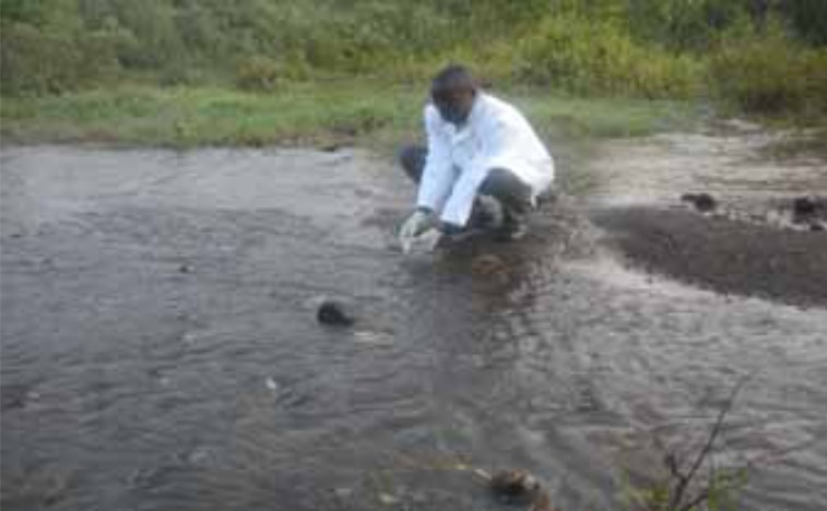 Physico-chemical Analysis, Microbial Isolation, Sensitivity Test of the Isolates and Solar Disinfection of Water Running in Community Taps and River Kandutura in Nakuru North Sub-county, Kenya.