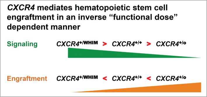 Chromothriptic cure of WHIM syndrome: Implications for bone marrow transplantation.