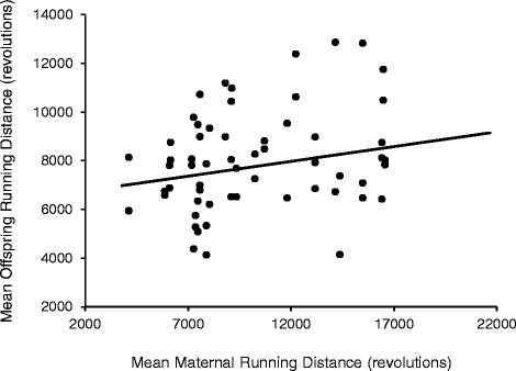 Maternal exercise before and during pregnancy does not impact offspring exercise or body composition in mice.