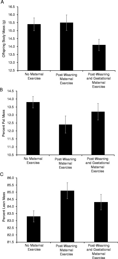 Maternal exercise before and during pregnancy does not impact offspring exercise or body composition in mice.