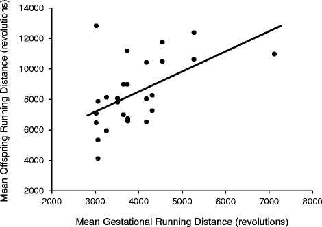 Maternal exercise before and during pregnancy does not impact offspring exercise or body composition in mice.