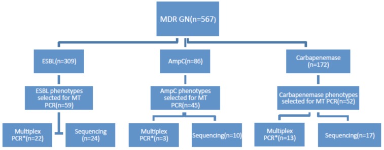 Evaluation of a Commercial Multiplex PCR for Rapid Detection of Multi Drug Resistant Gram Negative Infections.