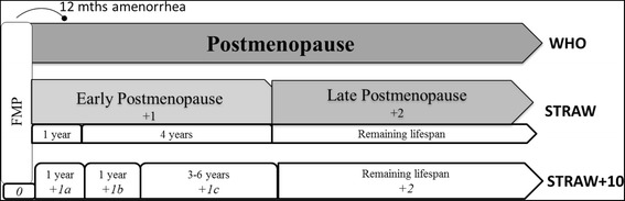 The course of depressive symptoms during the postmenopause: a review.