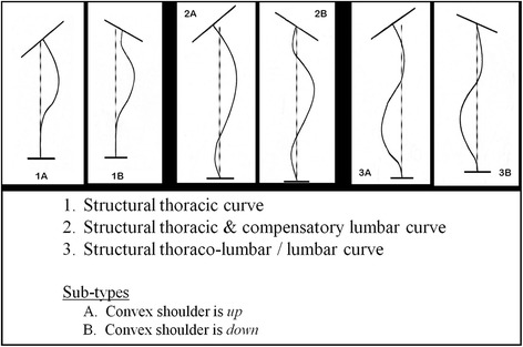 Surgical results with the use of Silicated Calcium Phosphate (SiCaP) as bone graft substitute in Posterior Spinal Fusion (PSF) for Adolescent Idiopathic Scoliosis (AIS).