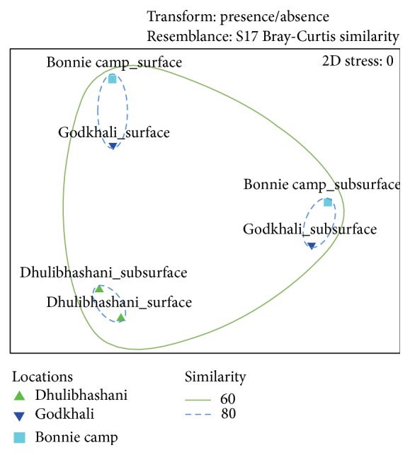 Diversity and Distribution of Archaea in the Mangrove Sediment of Sundarbans.