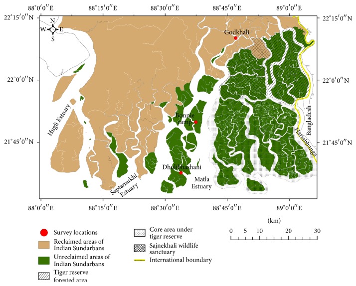 Diversity and Distribution of Archaea in the Mangrove Sediment of Sundarbans.