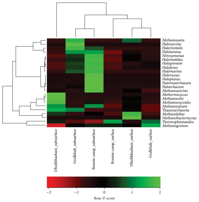 Diversity and Distribution of Archaea in the Mangrove Sediment of Sundarbans.