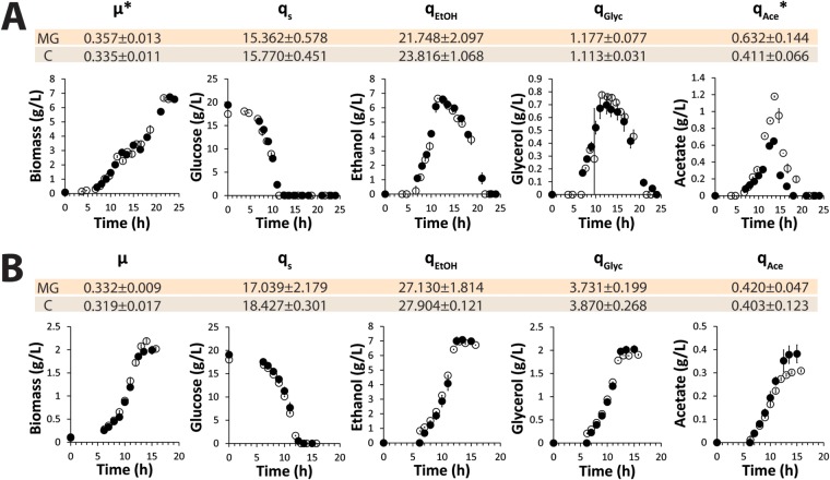 A Minimal Set of Glycolytic Genes Reveals Strong Redundancies in Saccharomyces cerevisiae Central Metabolism.