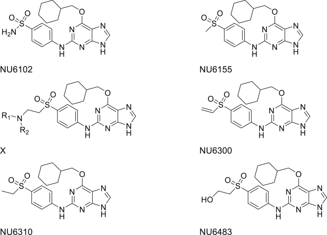 Identification and Characterization of an Irreversible Inhibitor of CDK2.