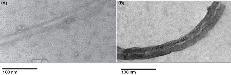 Octa-ammonium POSS-conjugated single-walled carbon nanotubes as vehicles for targeted delivery of paclitaxel.