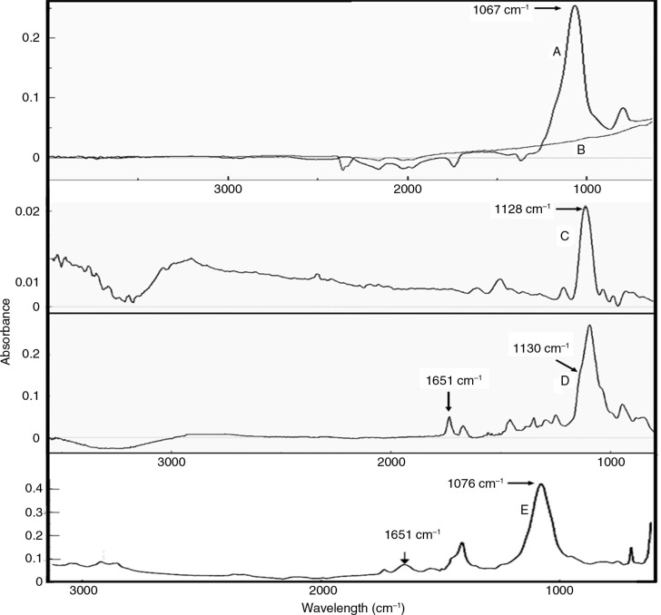 Octa-ammonium POSS-conjugated single-walled carbon nanotubes as vehicles for targeted delivery of paclitaxel.