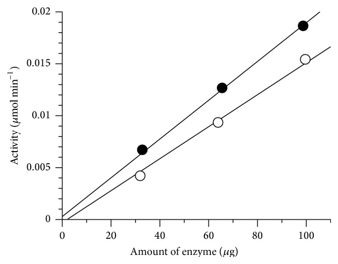 Biochemical Characterisation of Phage Pseudomurein Endoisopeptidases PeiW and PeiP Using Synthetic Peptides.