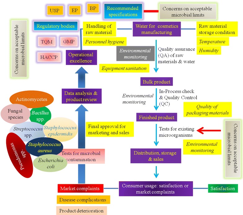 Safe usage of cosmetics in Bangladesh: a quality perspective based on microbiological attributes.