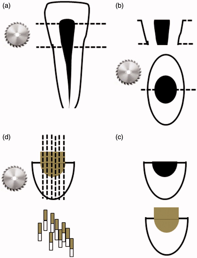 Bond durability of contemporary adhesive systems to pulp chamber dentin.