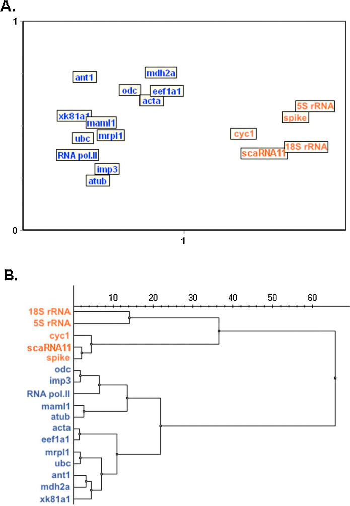 Effects of post-mortem and physical degradation on RNA integrity and quality