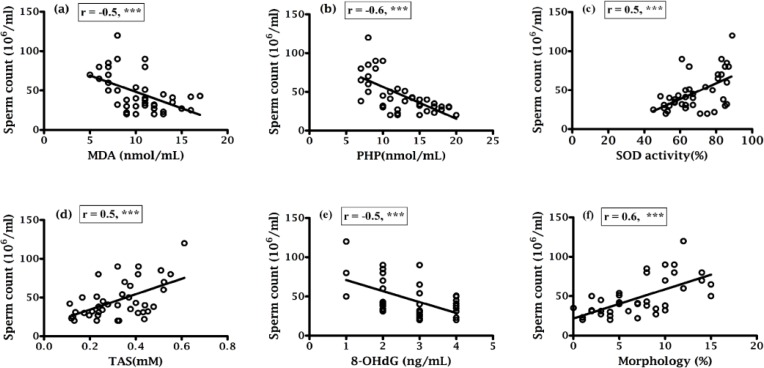 Oxidative stress induced sperm DNA damage, a possible reason for male infertility.