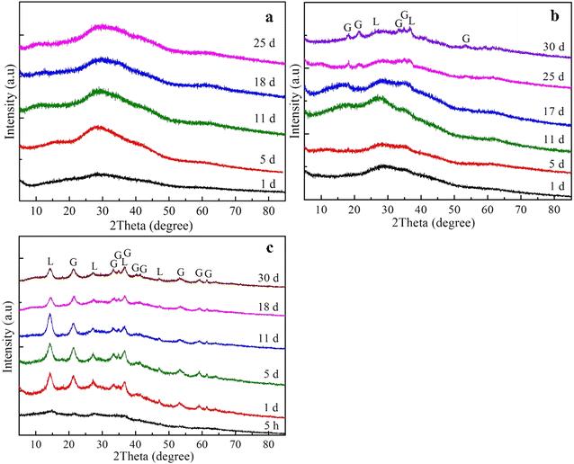 Interaction mechanisms and kinetics of ferrous ion and hexagonal birnessite in aqueous systems