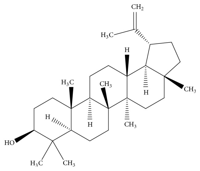 Antimicrobial Activity of Croton macrostachyus Stem Bark Extracts against Several Human Pathogenic Bacteria.