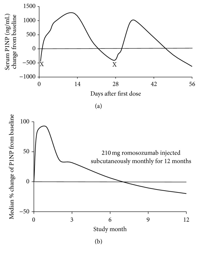 Sclerostin Antibody Therapy for the Treatment of Osteoporosis: Clinical Prospects and Challenges.