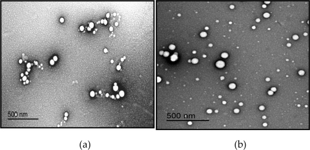 Bioavailability of Orally Delivered Alpha-Tocopherol by Poly(Lactic-Co-Glycolic) Acid (PLGA) Nanoparticles and Chitosan Covered PLGA Nanoparticles in F344 Rats.