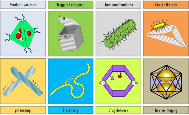 Designer DNA Architectures: Applications in Nanomedicine.