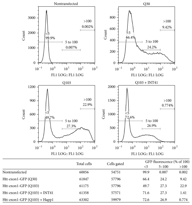 An Intrabody Drug (rAAV6-INT41) Reduces the Binding of N-Terminal Huntingtin Fragment(s) to DNA to Basal Levels in PC12 Cells and Delays Cognitive Loss in the R6/2 Animal Model.