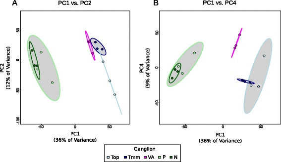 Identification of molecular signatures specific for distinct cranial sensory ganglia in the developing chick.