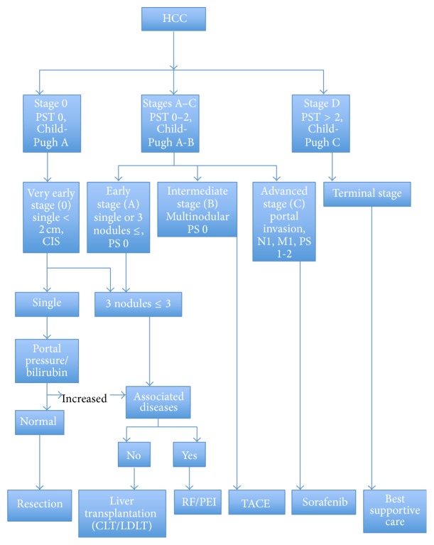 Current Treatment Approaches to HCC with a Special Consideration to Transplantation.