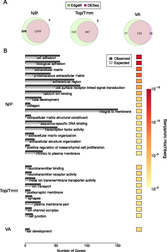 Identification of molecular signatures specific for distinct cranial sensory ganglia in the developing chick.