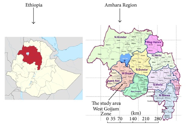Qualitative Assessment of Challenges in Tuberculosis Control in West Gojjam Zone, Northwest Ethiopia: Health Workers' and Tuberculosis Control Program Coordinators' Perspectives.