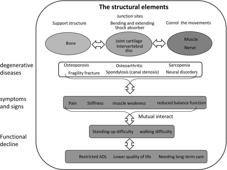 Locomotive Syndrome: Definition and Management.