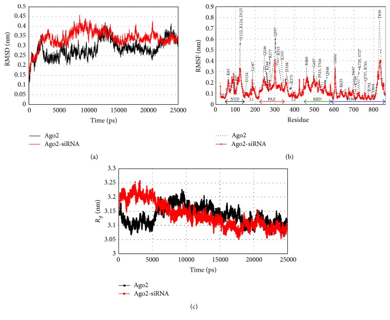 Structural Dynamics of Human Argonaute2 and Its Interaction with siRNAs Designed to Target Mutant tdp43.