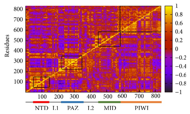 Structural Dynamics of Human Argonaute2 and Its Interaction with siRNAs Designed to Target Mutant tdp43.