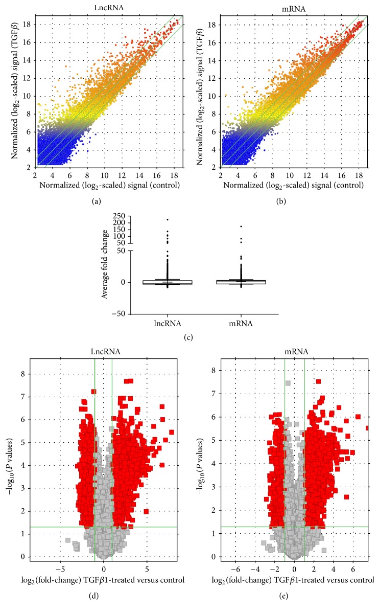 Investigation of TGFβ1-Induced Long Noncoding RNAs in Endothelial Cells.