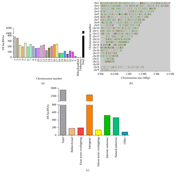 Investigation of TGFβ1-Induced Long Noncoding RNAs in Endothelial Cells.