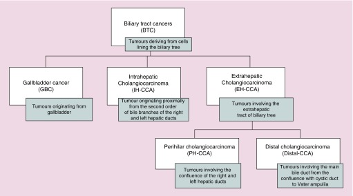 Neoadjuvant treatment of biliary tract cancer: state-of-the-art and new perspectives.