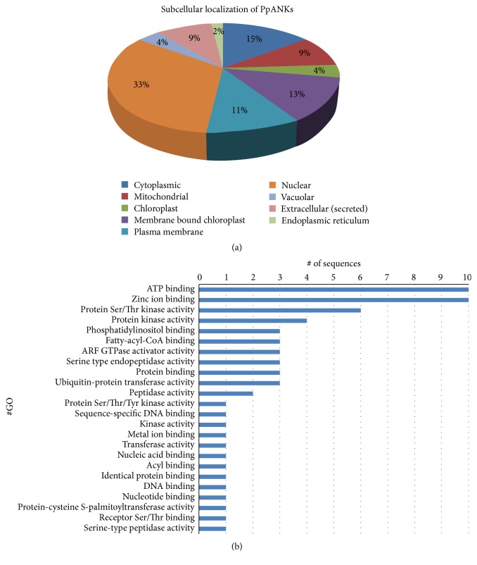 Analyses of Physcomitrella patens Ankyrin Repeat Proteins by Computational Approach.