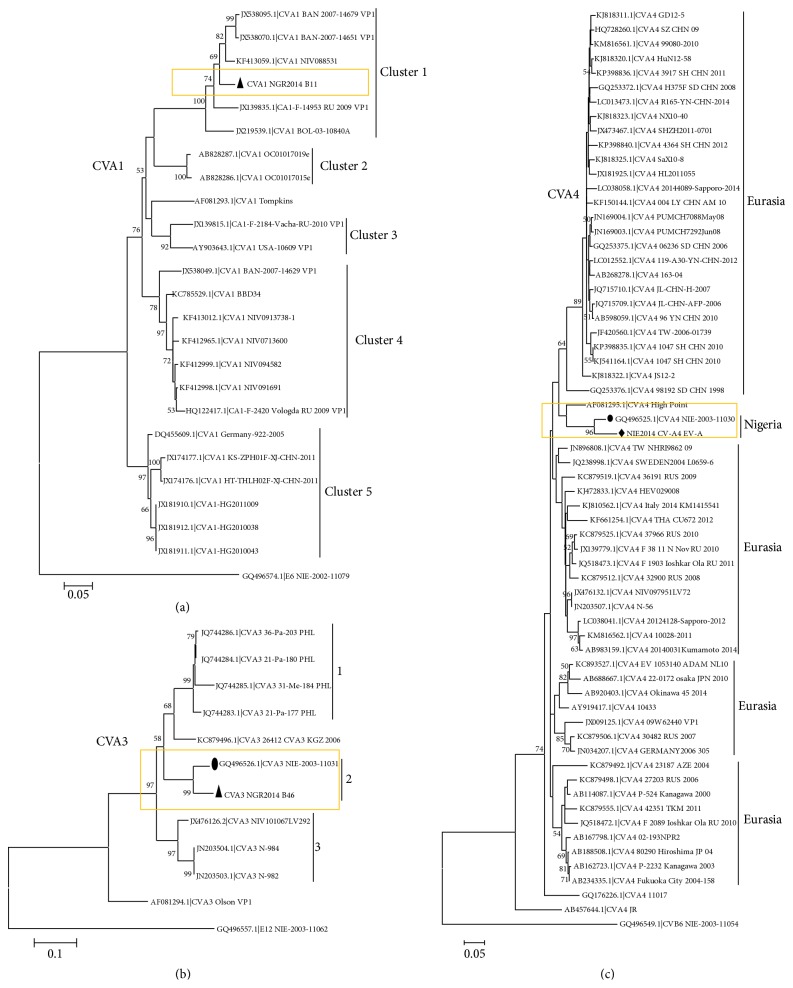 Direct Detection and Identification of Enteroviruses from Faeces of Healthy Nigerian Children Using a Cell-Culture Independent RT-Seminested PCR Assay.