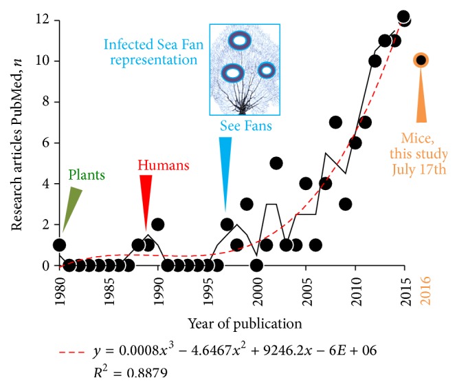 Clinical Effects of Gamma-Radiation-Resistant Aspergillus sydowii on Germ-Free Mice Immunologically Prone to Inflammatory Bowel Disease.