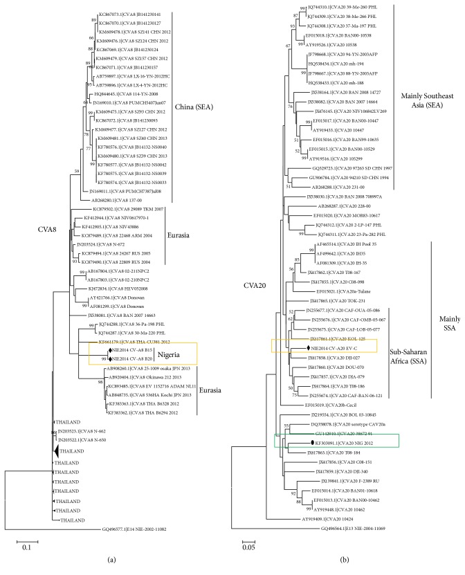 Direct Detection and Identification of Enteroviruses from Faeces of Healthy Nigerian Children Using a Cell-Culture Independent RT-Seminested PCR Assay.